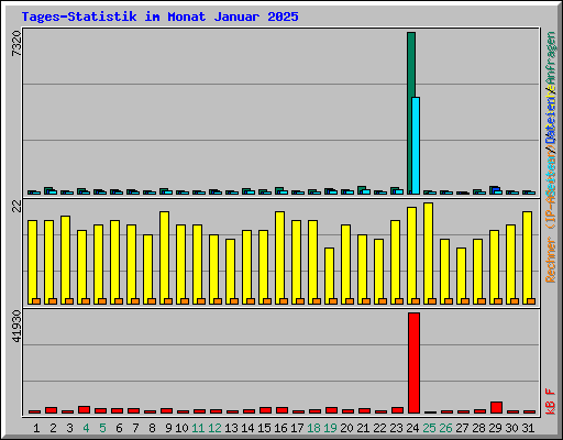 Tages-Statistik im Monat Januar 2025