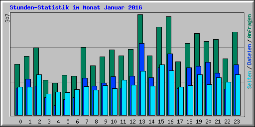 Stunden-Statistik im Monat Januar 2016