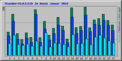 Stunden-Statistik im Monat Januar 2019