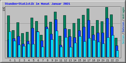 Stunden-Statistik im Monat Januar 2021