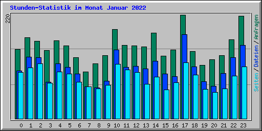 Stunden-Statistik im Monat Januar 2022