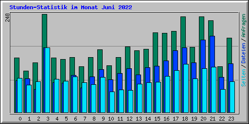 Stunden-Statistik im Monat Juni 2022