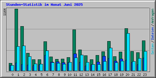 Stunden-Statistik im Monat Juni 2025