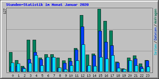 Stunden-Statistik im Monat Januar 2020