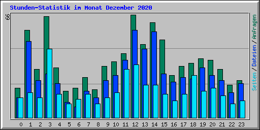 Stunden-Statistik im Monat Dezember 2020