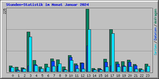 Stunden-Statistik im Monat Januar 2024
