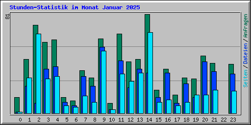 Stunden-Statistik im Monat Januar 2025