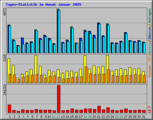 Tages-Statistik im Monat Januar 2025