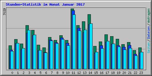 Stunden-Statistik im Monat Januar 2017