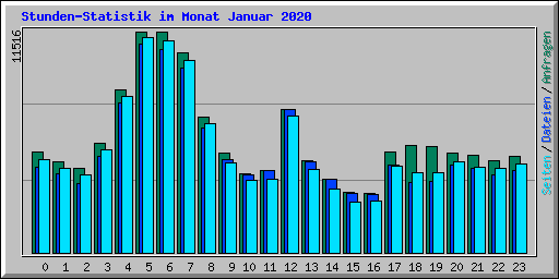 Stunden-Statistik im Monat Januar 2020