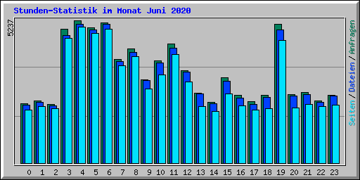 Stunden-Statistik im Monat Juni 2020