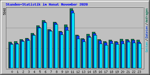 Stunden-Statistik im Monat November 2020
