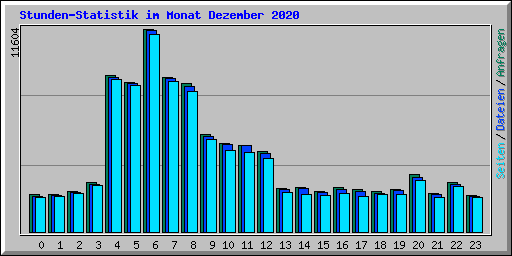 Stunden-Statistik im Monat Dezember 2020