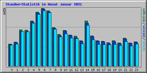 Stunden-Statistik im Monat Januar 2021