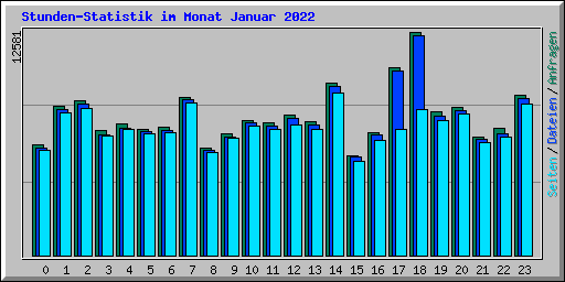 Stunden-Statistik im Monat Januar 2022