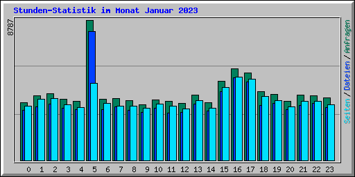 Stunden-Statistik im Monat Januar 2023