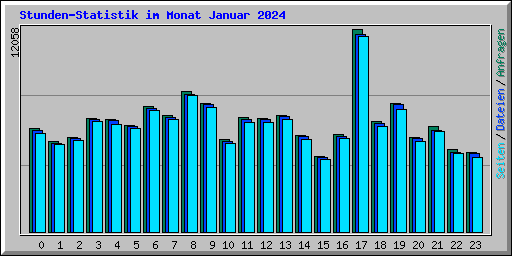 Stunden-Statistik im Monat Januar 2024