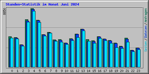 Stunden-Statistik im Monat Juni 2024