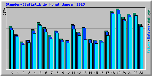 Stunden-Statistik im Monat Januar 2025