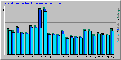 Stunden-Statistik im Monat Juni 2025