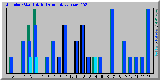 Stunden-Statistik im Monat Januar 2021