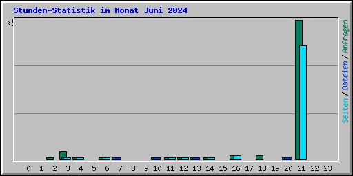 Stunden-Statistik im Monat Juni 2024