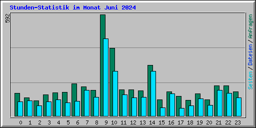 Stunden-Statistik im Monat Juni 2024