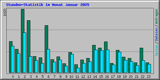 Stunden-Statistik im Monat Januar 2025