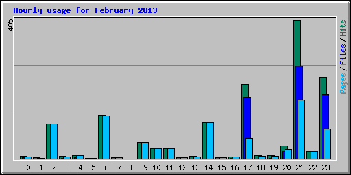 Hourly usage for February 2013