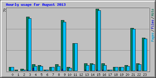 Hourly usage for August 2013