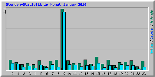Stunden-Statistik im Monat Januar 2016