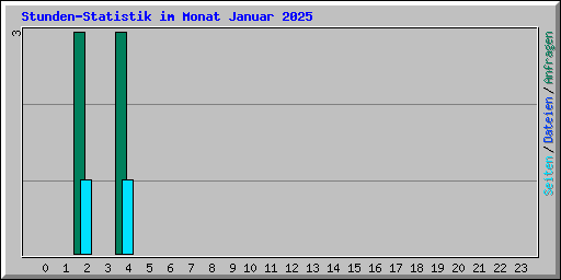 Stunden-Statistik im Monat Januar 2025
