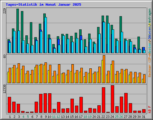 Tages-Statistik im Monat Januar 2025