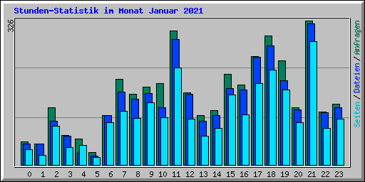 Stunden-Statistik im Monat Januar 2021