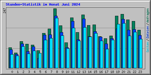 Stunden-Statistik im Monat Juni 2024