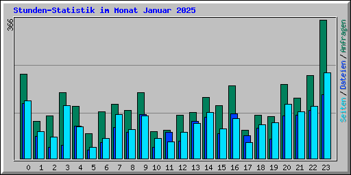 Stunden-Statistik im Monat Januar 2025
