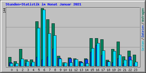 Stunden-Statistik im Monat Januar 2021