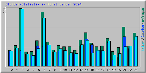 Stunden-Statistik im Monat Januar 2024