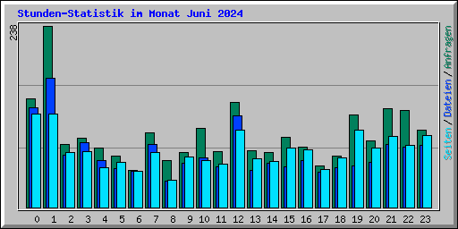 Stunden-Statistik im Monat Juni 2024