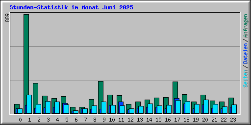 Stunden-Statistik im Monat Juni 2025
