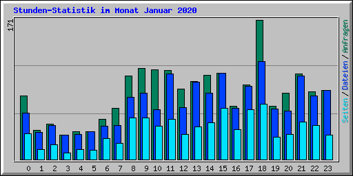 Stunden-Statistik im Monat Januar 2020