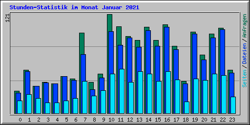 Stunden-Statistik im Monat Januar 2021