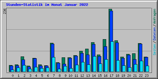Stunden-Statistik im Monat Januar 2022