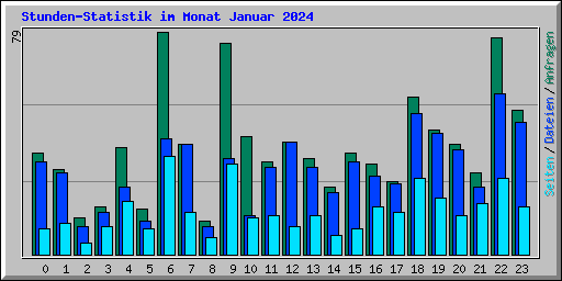 Stunden-Statistik im Monat Januar 2024