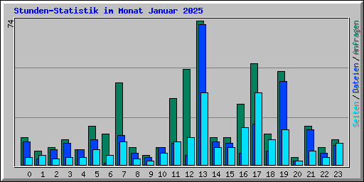 Stunden-Statistik im Monat Januar 2025