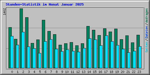 Stunden-Statistik im Monat Januar 2025
